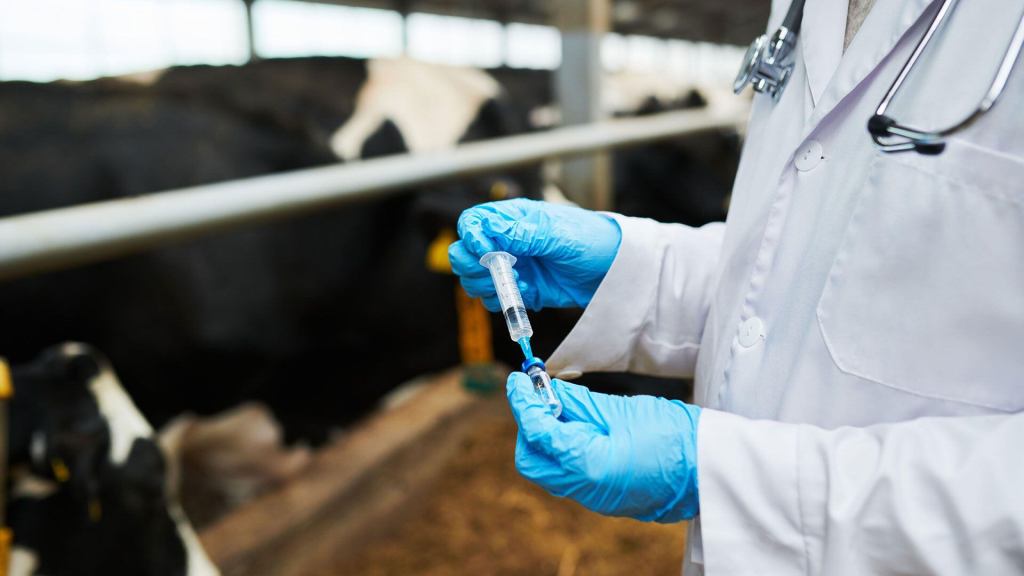 Alerta en el sector veterinario por la desregulación de vacunas contra la&nbsp;aftosa
